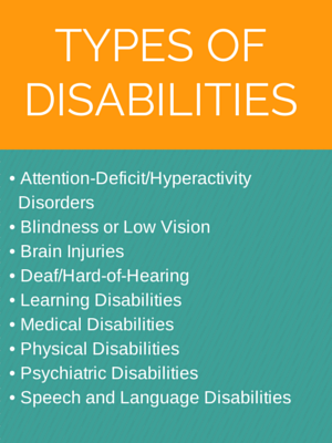 what are the 4 categories of disabilities