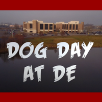 Dog Day at DE