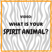VIDEO: What Is Your Spirit Animal? • DirectEmployers Association
