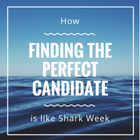 How Finding the Perfect Candidate is Like Shark Week