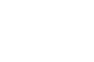 Full Transparency Full Transparency
