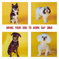Bring Your Dog to Work Day 2018