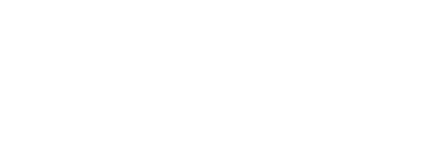 DirectEmployers 1-color horizontal logo in white on DE black background