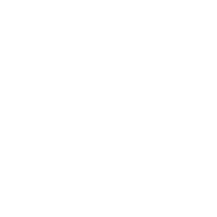 Disability Partners