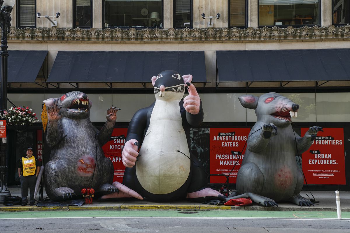 Scabby the Rat Inflatable in Chicago's Loop