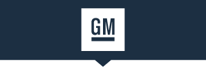 General Motors logo: General Motors